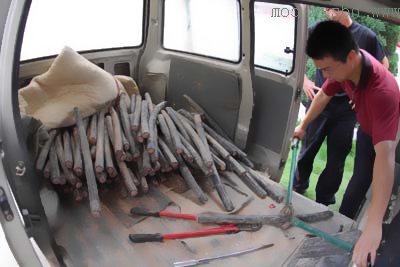 出動(dòng)70余人偷盜電纜