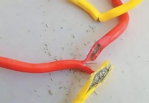 �|�����늾�